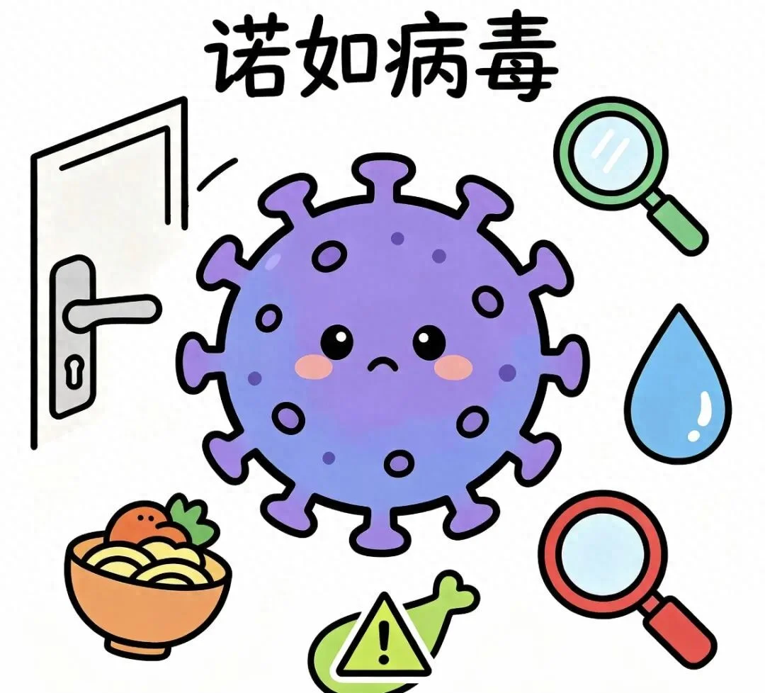 哪些食品容易诱发食源性疾病? 如何预防食源性疾病?